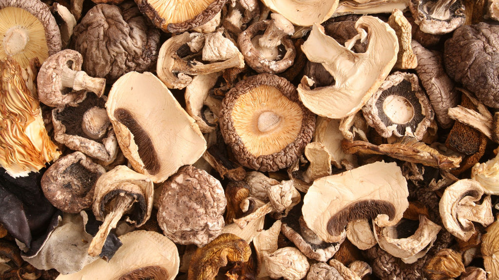 Italian Mushroom Delicacies